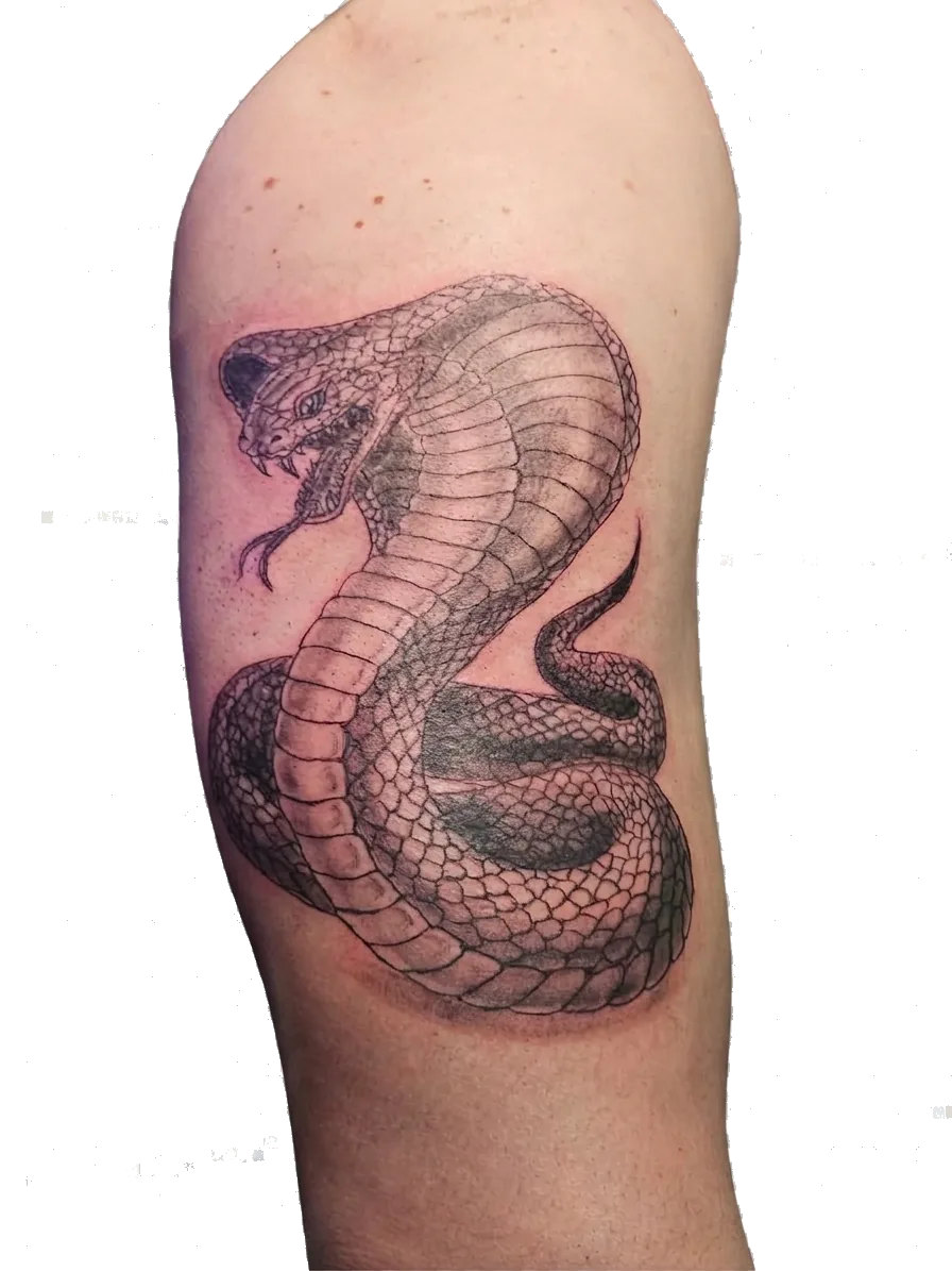 Tattoo kobre na nadlahti z natančnim luskanjem in dramatičnim black & grey kontrastom, Raven Tattoo Maribor