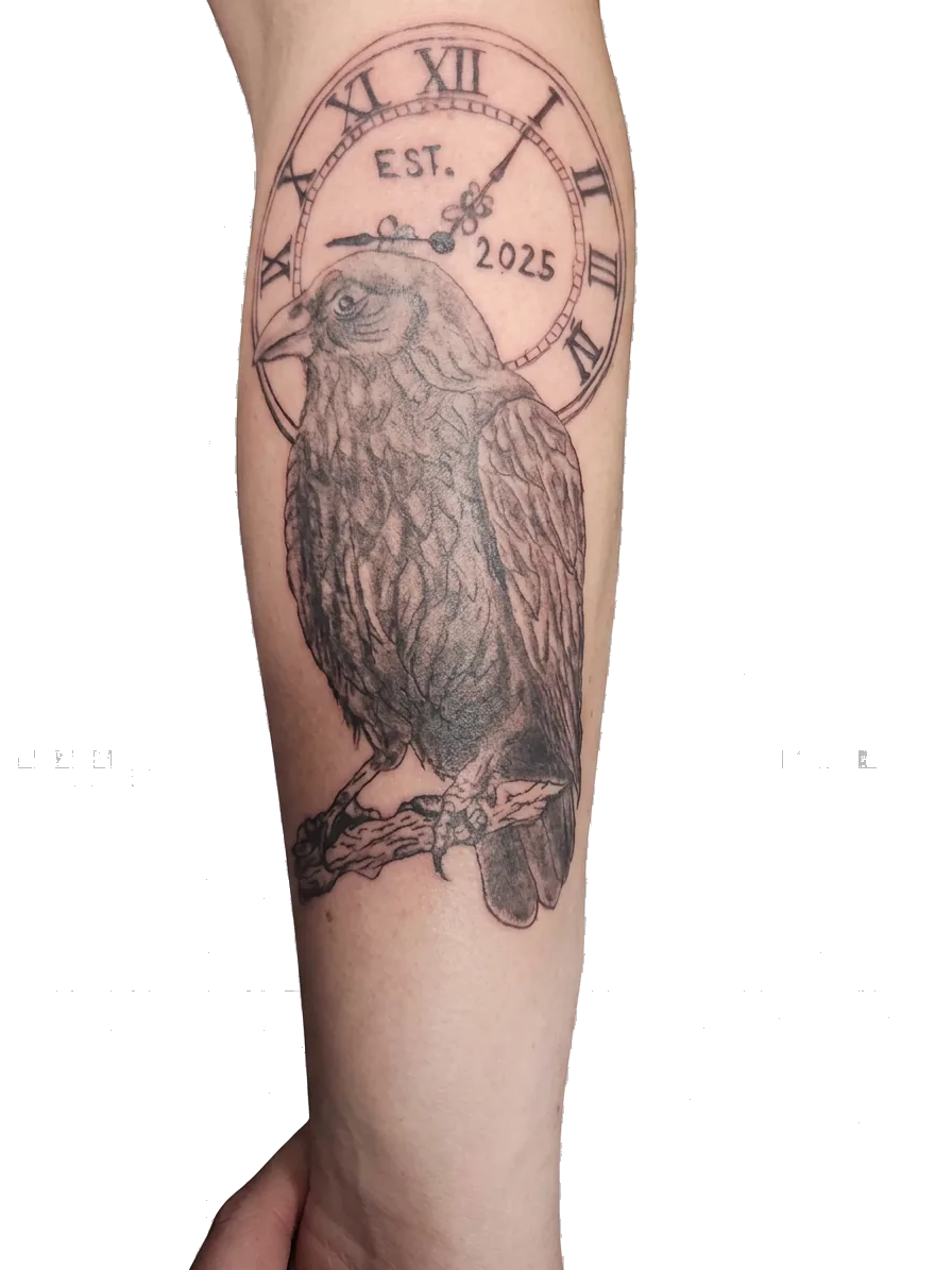 Tattoo vrana s podrobno izrisanim perjem in žepno uro — kombinacija realistike in fine line tehnike, Raven Studio Maribor